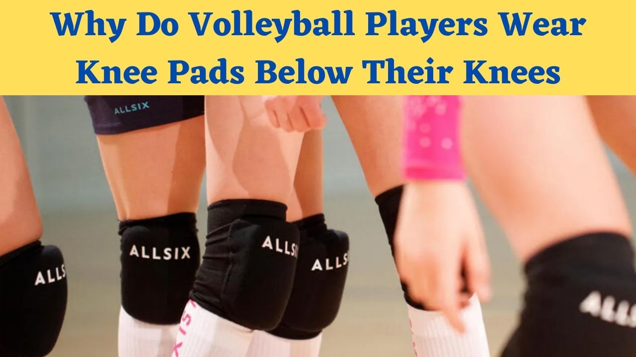 Why Do Volleyball Players Wear Knee Pads Below Their Knees - Best Knee Pad
